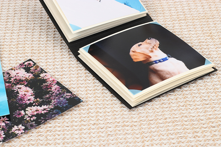 Tipos de folhas de papel do álbum de fotos